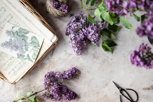 Free A beautiful flat lay of lilac flowers, music sheets, and basket on a marble surface, perfect for artistic designs. Stock Photo