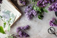 Lilac Flatlay Scene