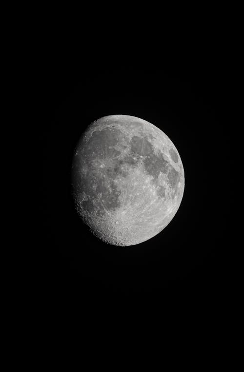 Close Up Photo of Moon in Grayscale