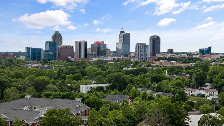 Drone Shot Of Trees Surrounding Buildings