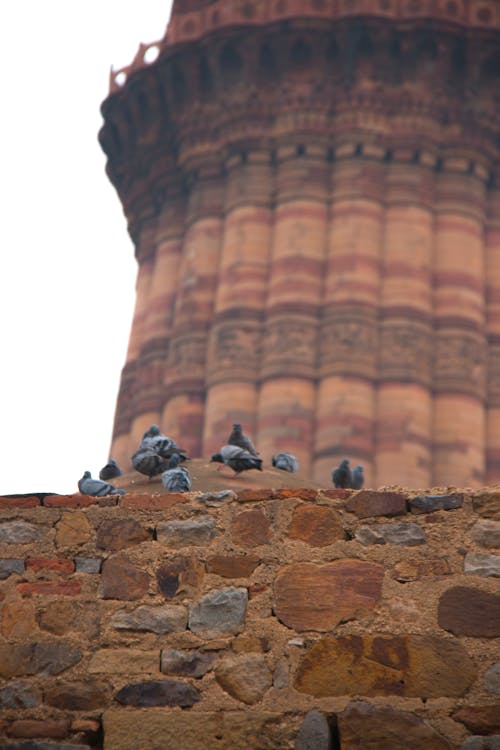 Immagine gratuita di qutub minar delhi