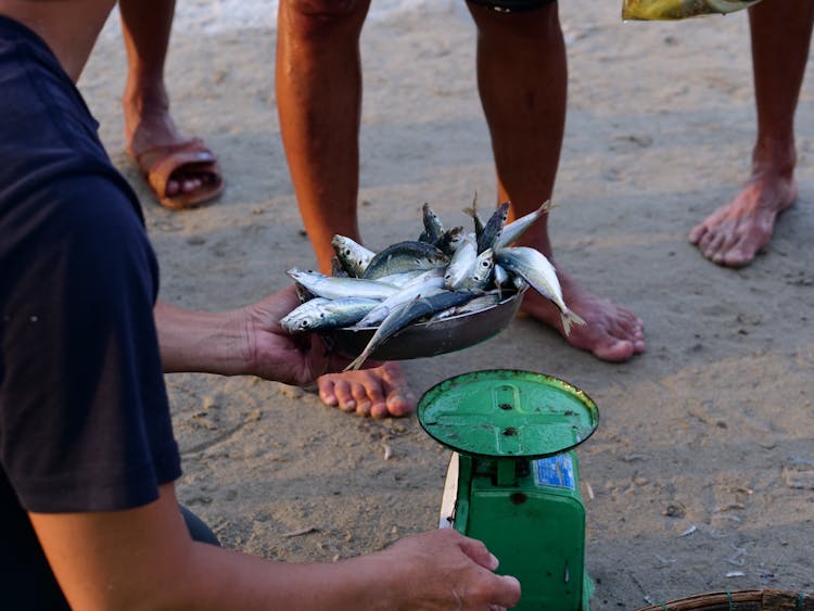 Man Weighing Fish