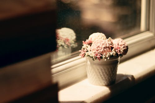 Pink and White Flowers in White Vase Centerpiece on White Window