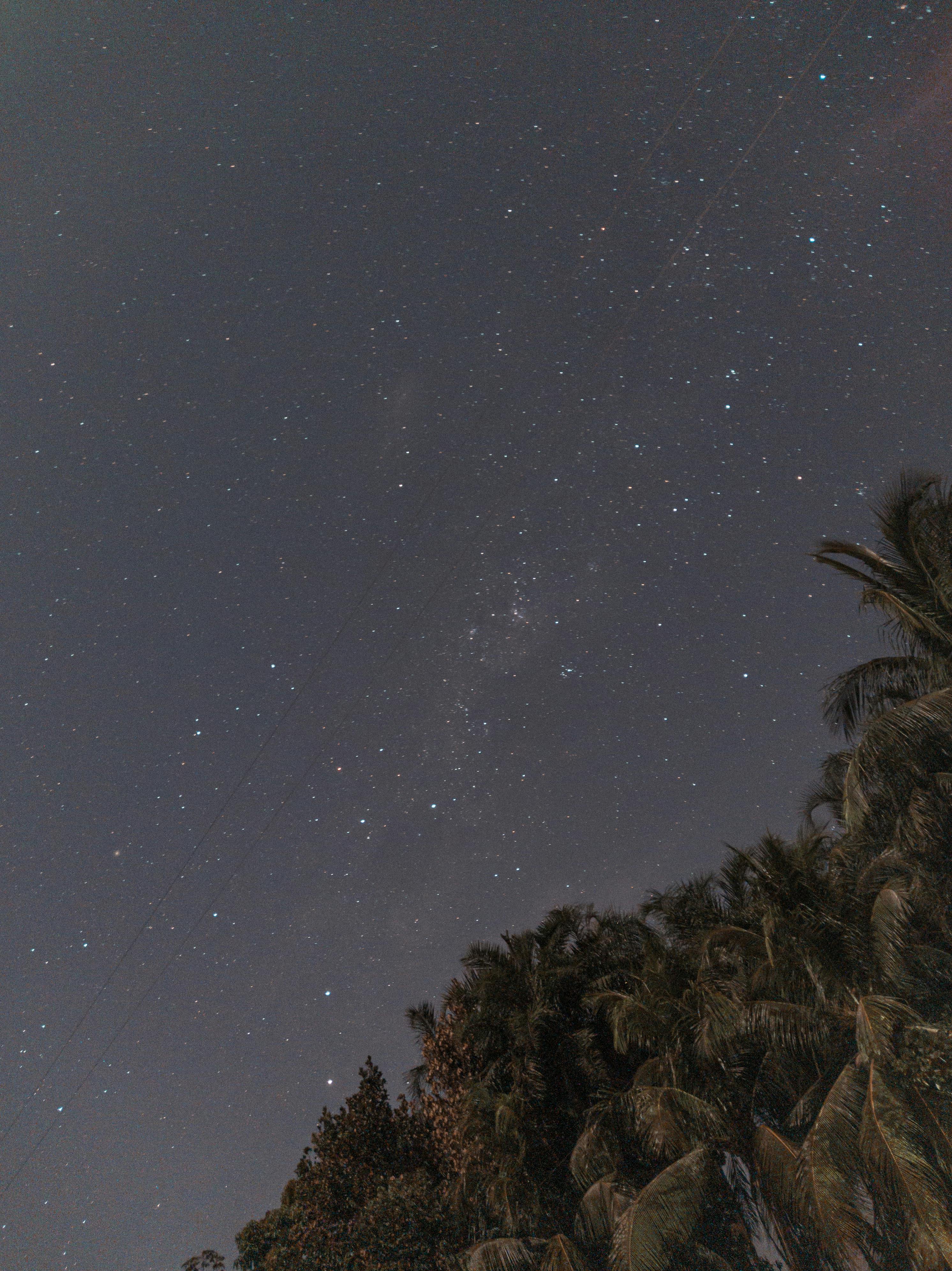 Why is Flomax taken at night?