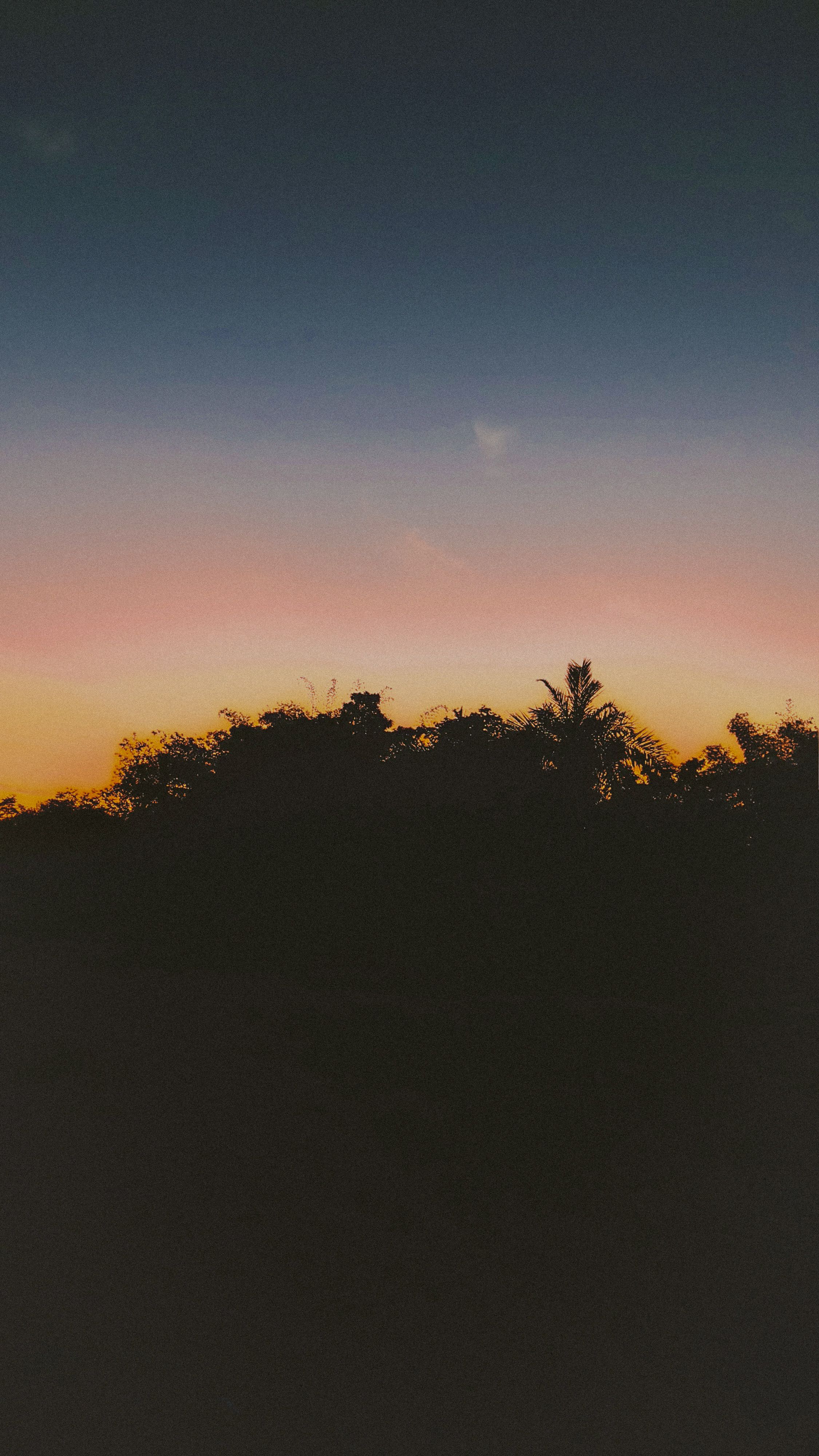Silhouette of Trees on Mountain During Sunset · Free Stock Photo