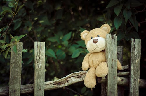 Kostnadsfri bild av leksak, nallebjörn, staket
