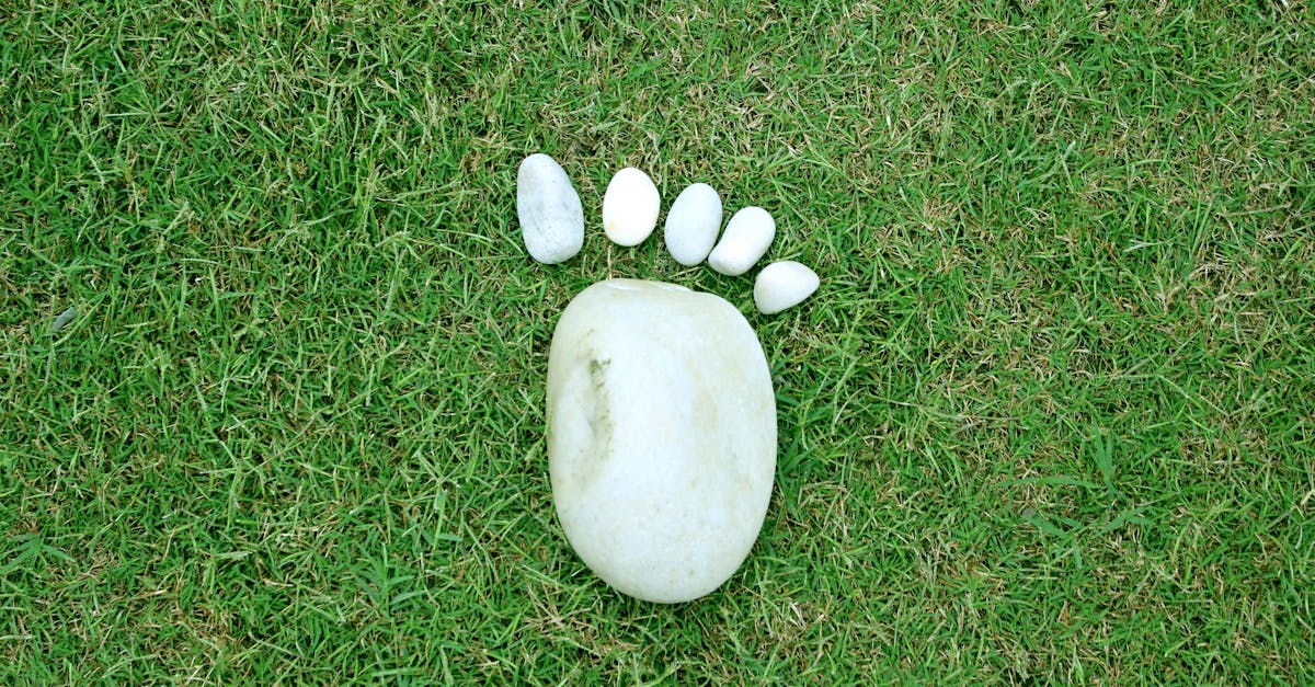 Free stock photo of foot, grass, pebbles