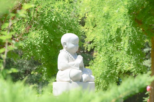 A Statue of a Buddha in a Garden