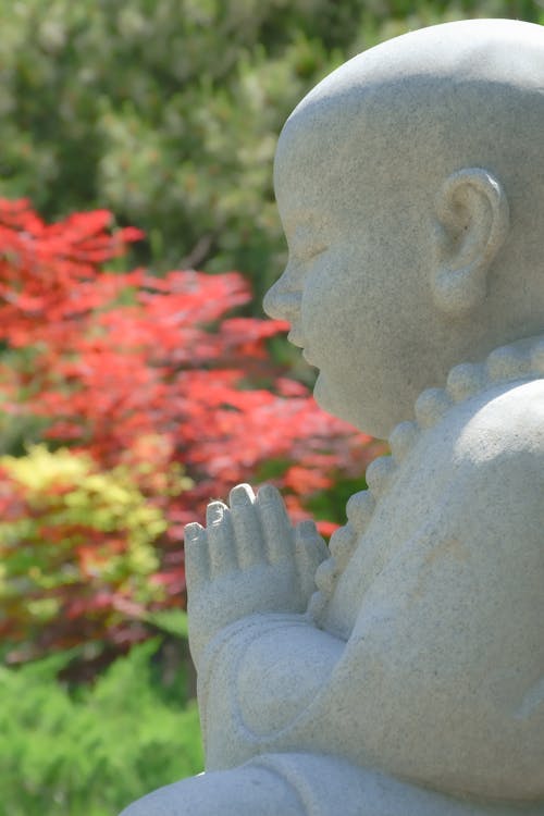 佛教, 垂直拍攝, 宗教 的 免費圖庫相片