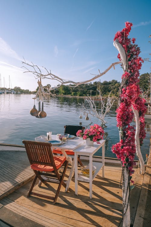 Red Flowers on White Wooden Table Beside Brown Wooden Chairs