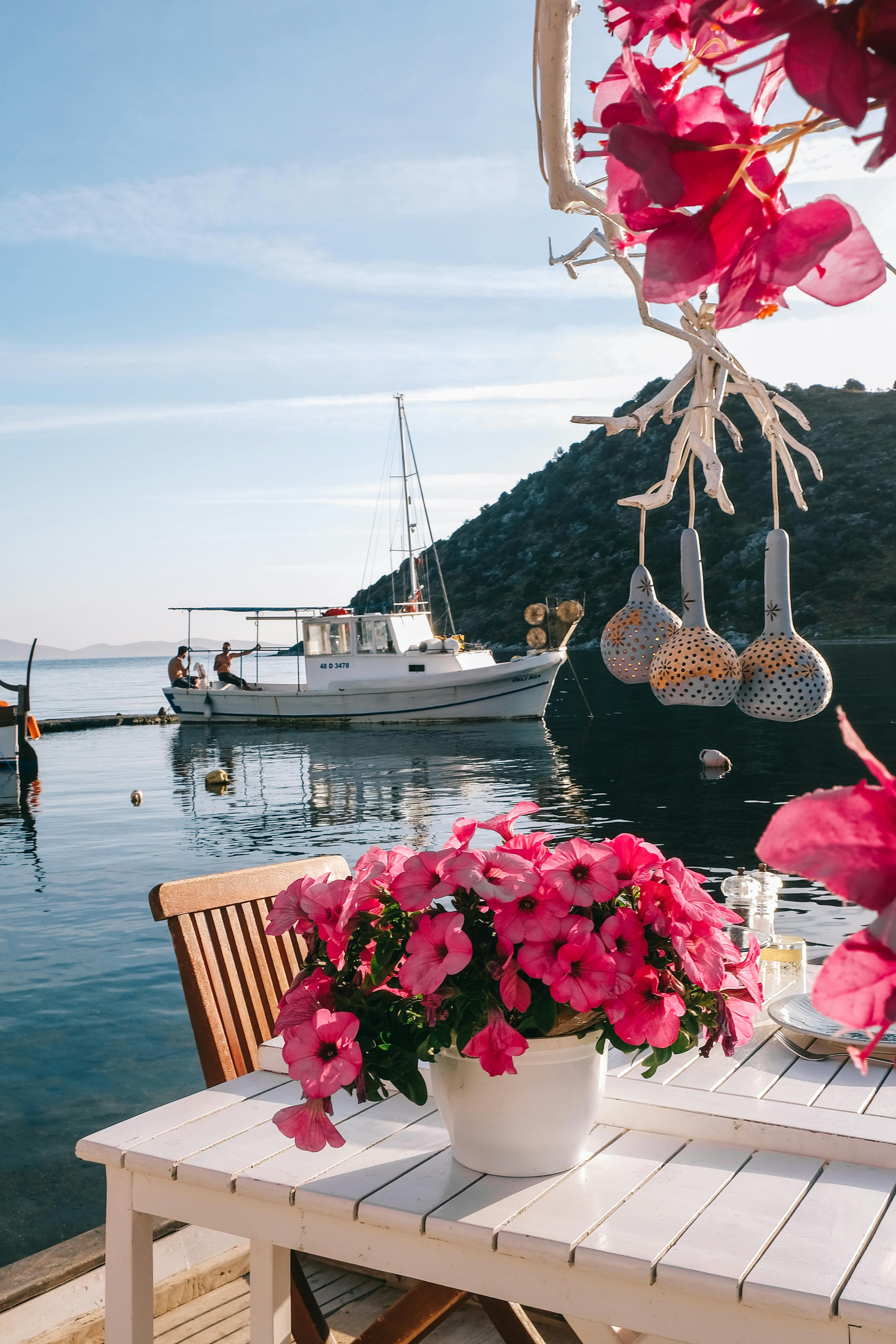 What is the hardest Romance language?