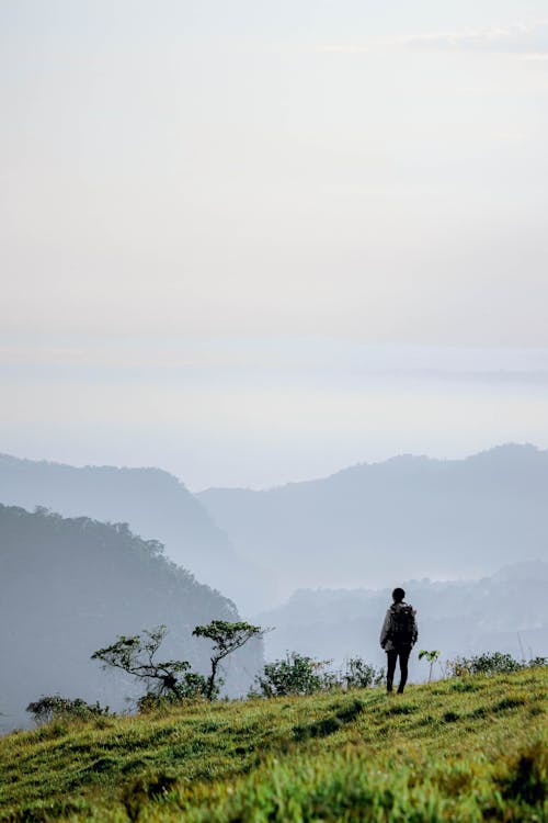 Person Standing on Grass Field Looking at the View 