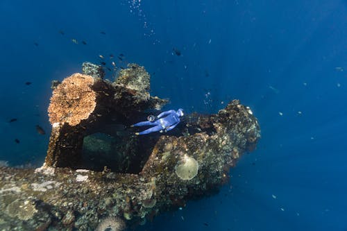 A Diver Underwater