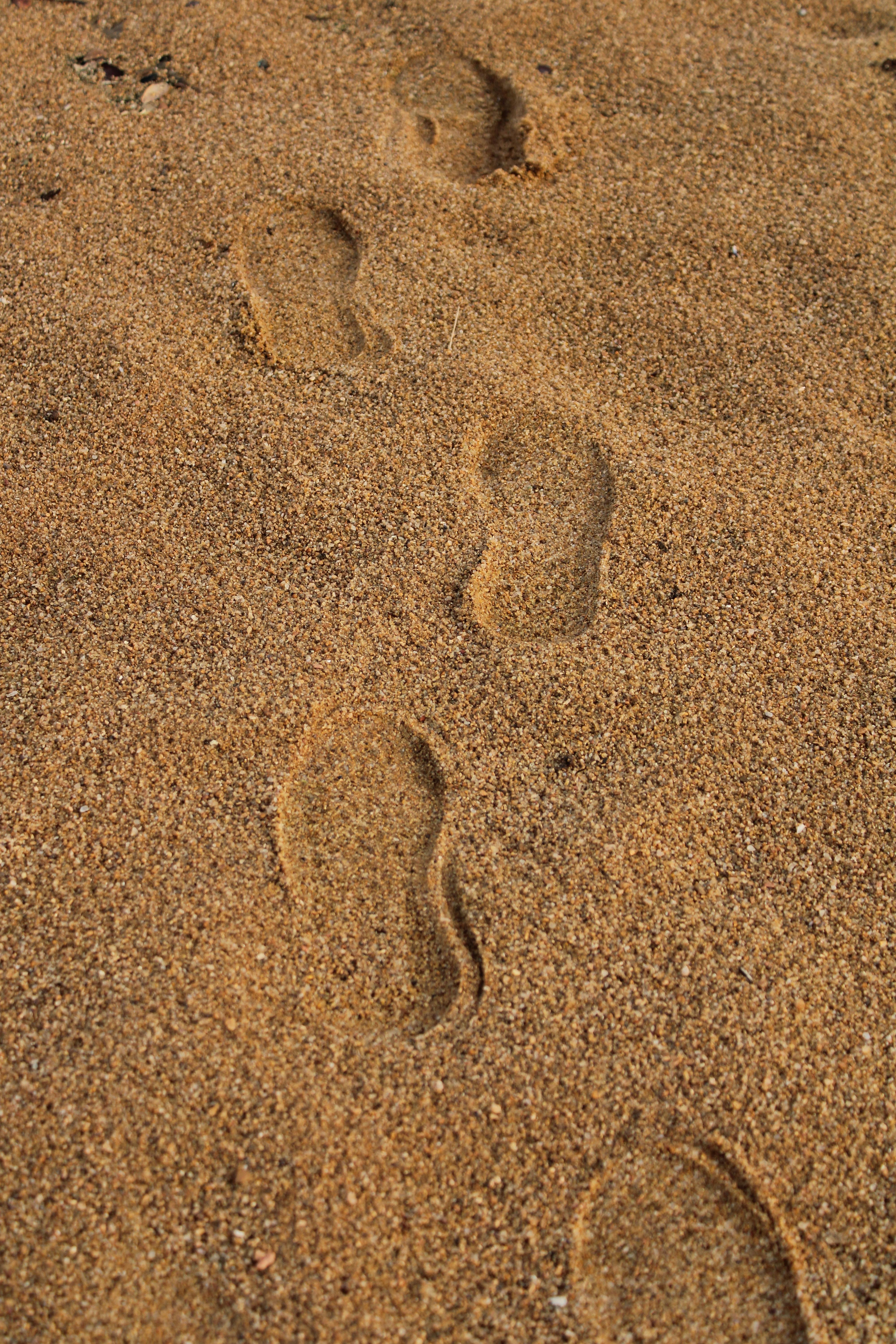 My Lasting Impression of Goa Gajah: A Must-See for Every Traveler