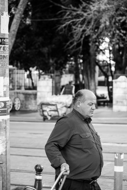 Free Black and white image of a bald man walking in an urban setting with trees and street elements. Stock Photo