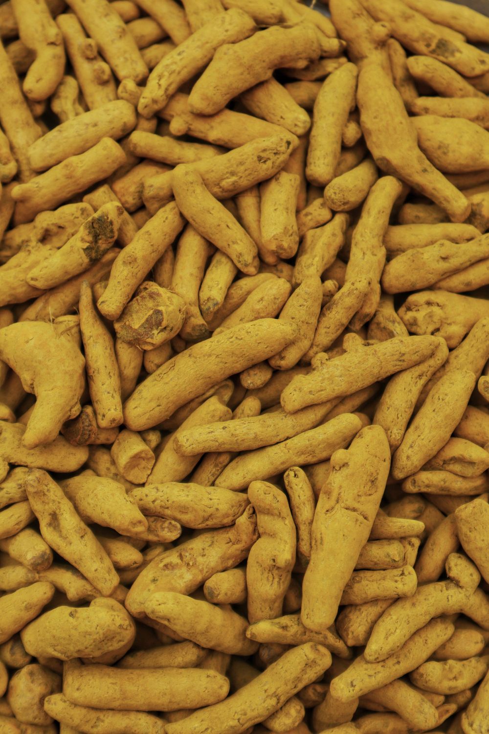 Turmeric