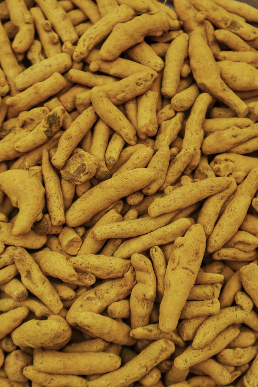Fresh turmeric and ginger roots