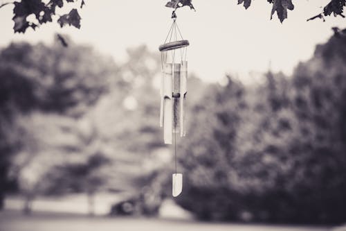 Free Bamboo Wind Chimes Hanging on a Branch  Stock Photo