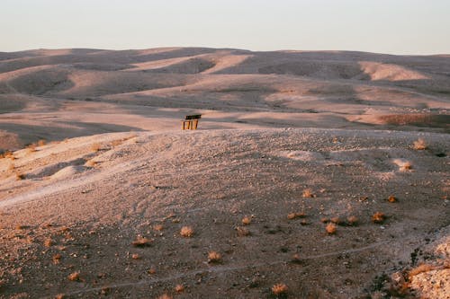 Wooden Bench in the Middle of a Desert