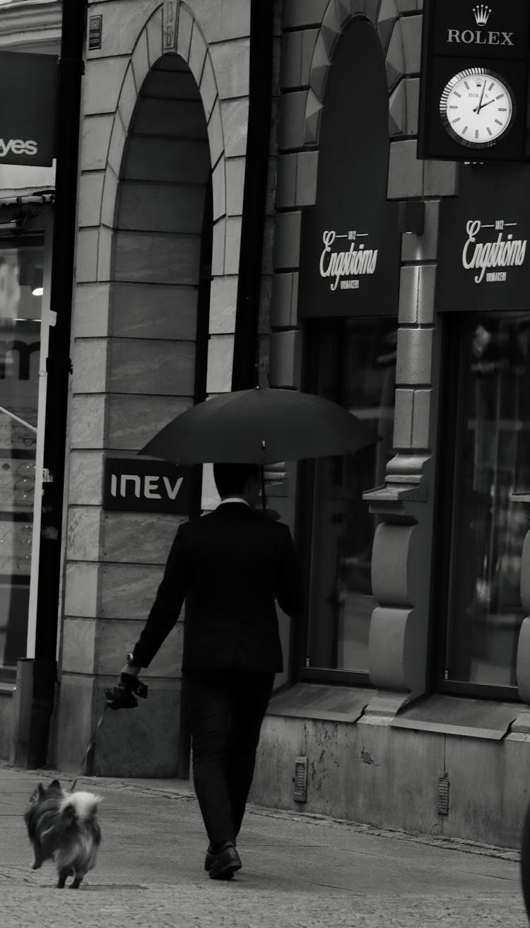 Back View Of A Man In A Suit Holding An Umbrella Walking With A Dog