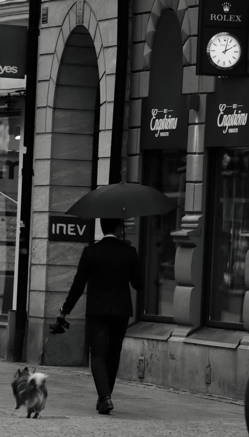 Free A monochrome image of a man walking his dog on a city street in Sweden. Stock Photo