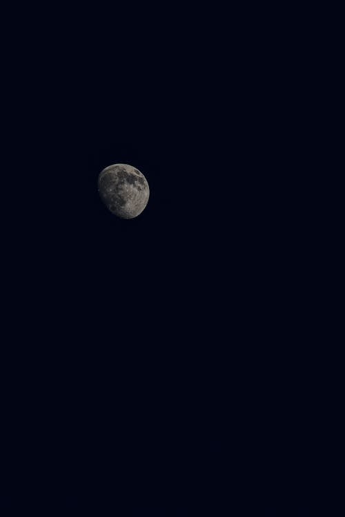 Free Moon in a Dark Sky  Stock Photo