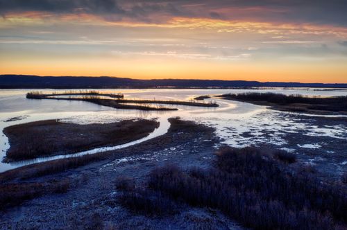 Free A tranquil sunset view over the wetlands in Weaver, Minnesota, capturing the beauty of nature. Stock Photo
