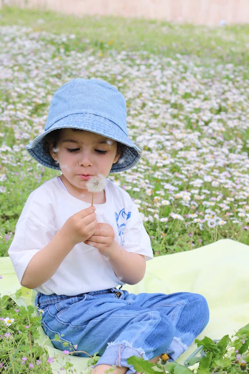 Free Little Girl Blowing a Flower Stock Photo