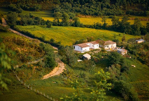 An Aerial Shot of a House in a Countryside