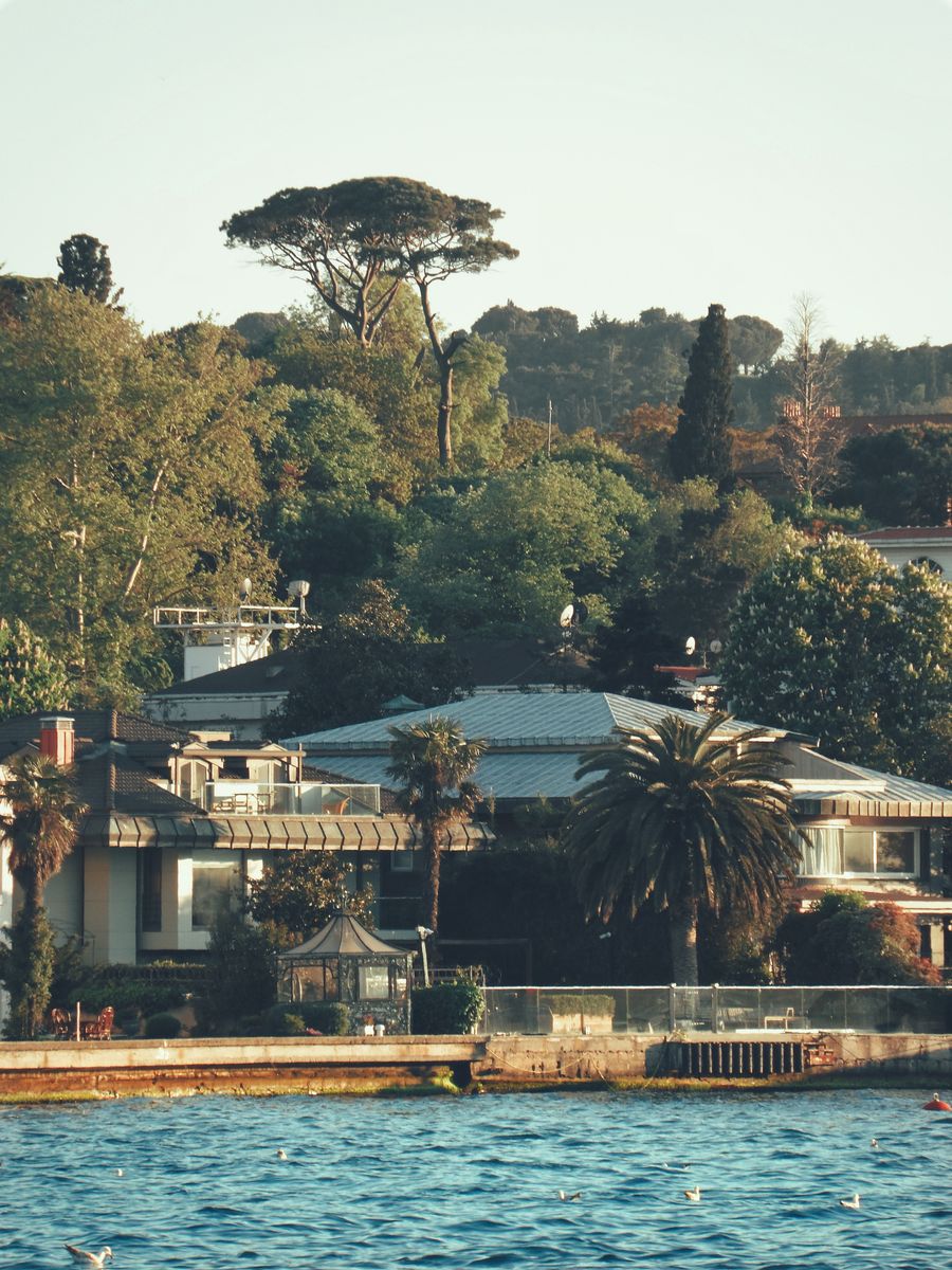 Twin Facade Shophouse near water surrounded by trees