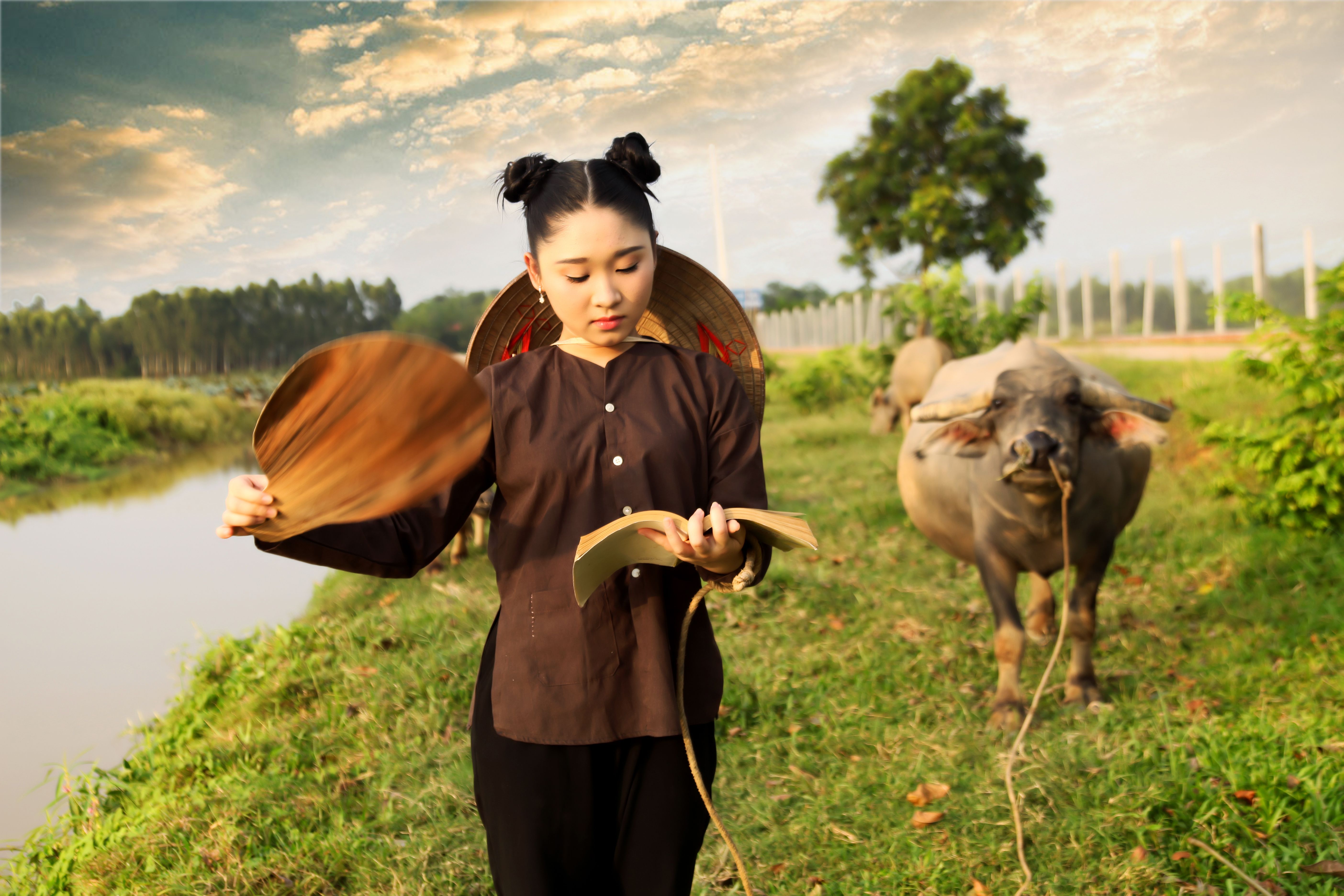 Asian woman reading a book outdoors by a water buffalo on a farm.