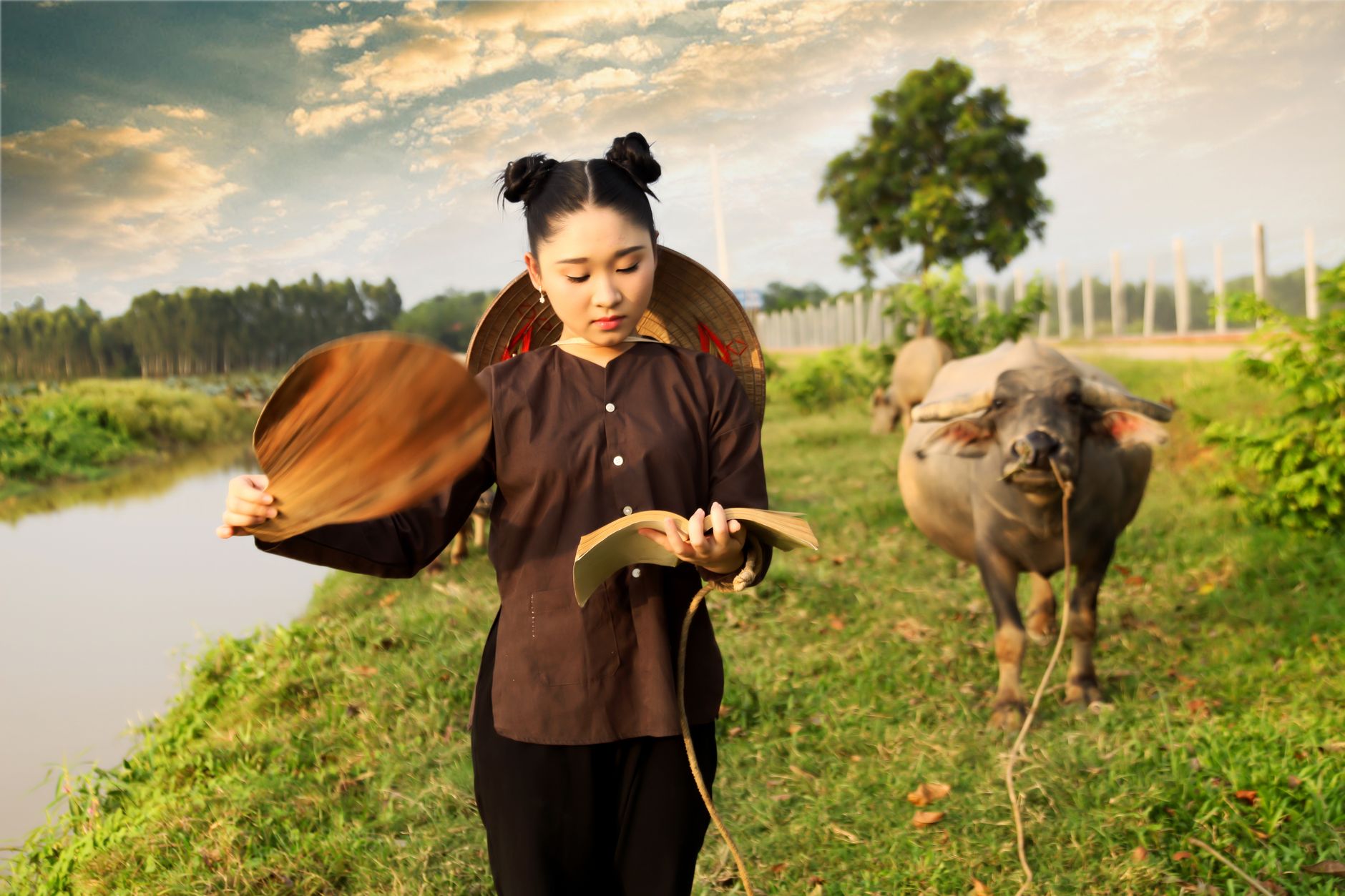 Asian woman reading a book outdoors by a water buffalo on a farm.