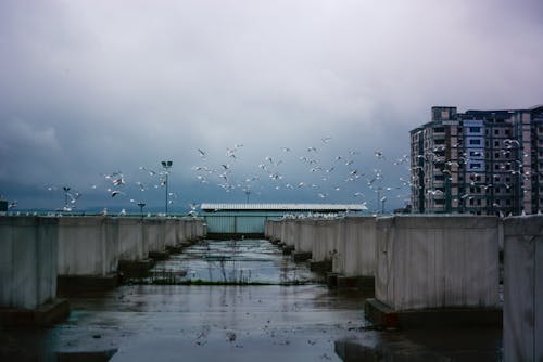 Foto profissional grátis de água, céu, cidade