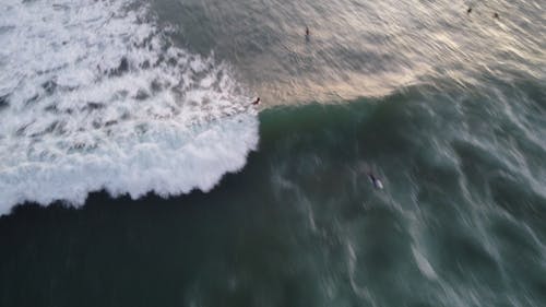 An Aerial Shot of People Swimming at Sea