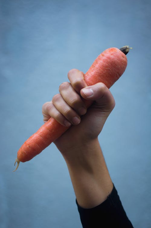 Human Hand Holding a Carrot