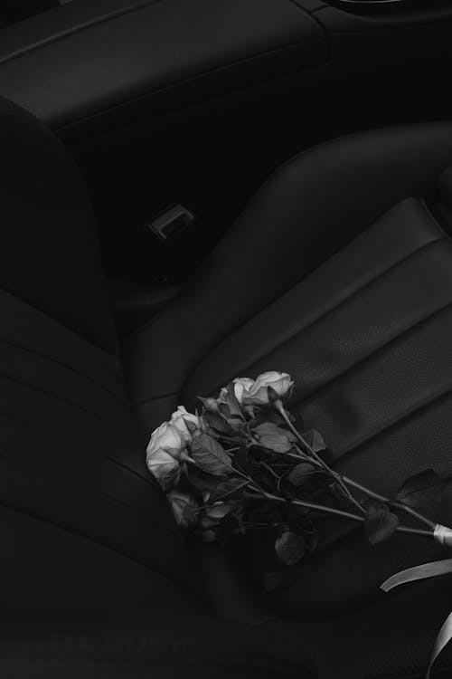Greyscale Photo of Roses