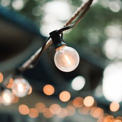 A clear round festoon bulb on a black cable glowing in a garden