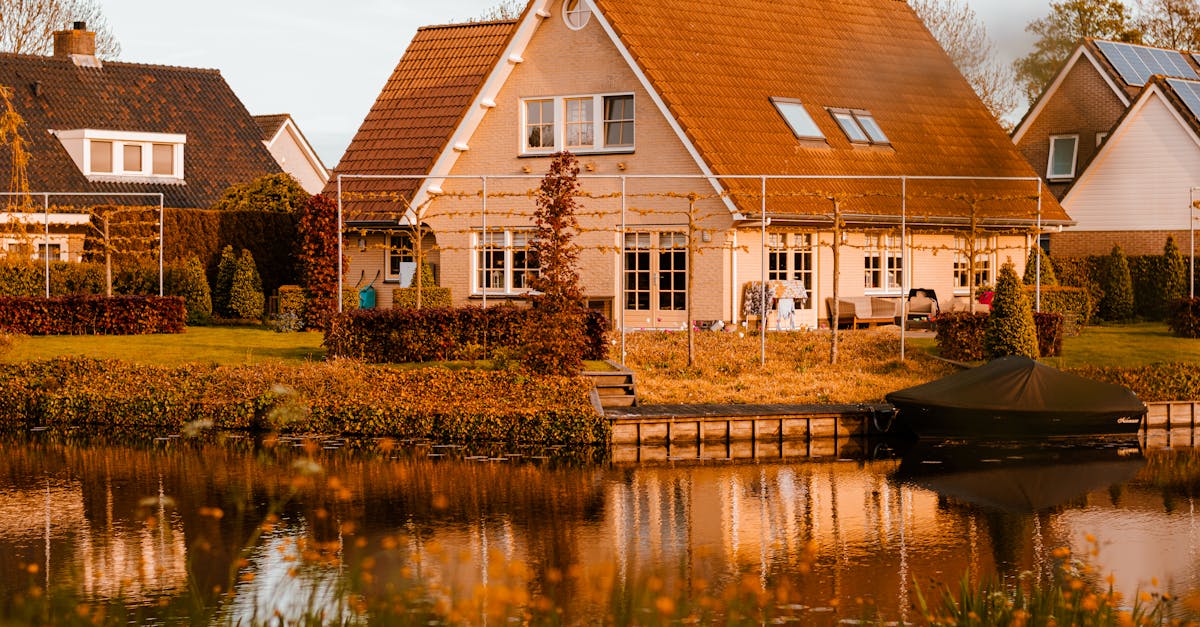 How to get rid of rabbits in your backyard