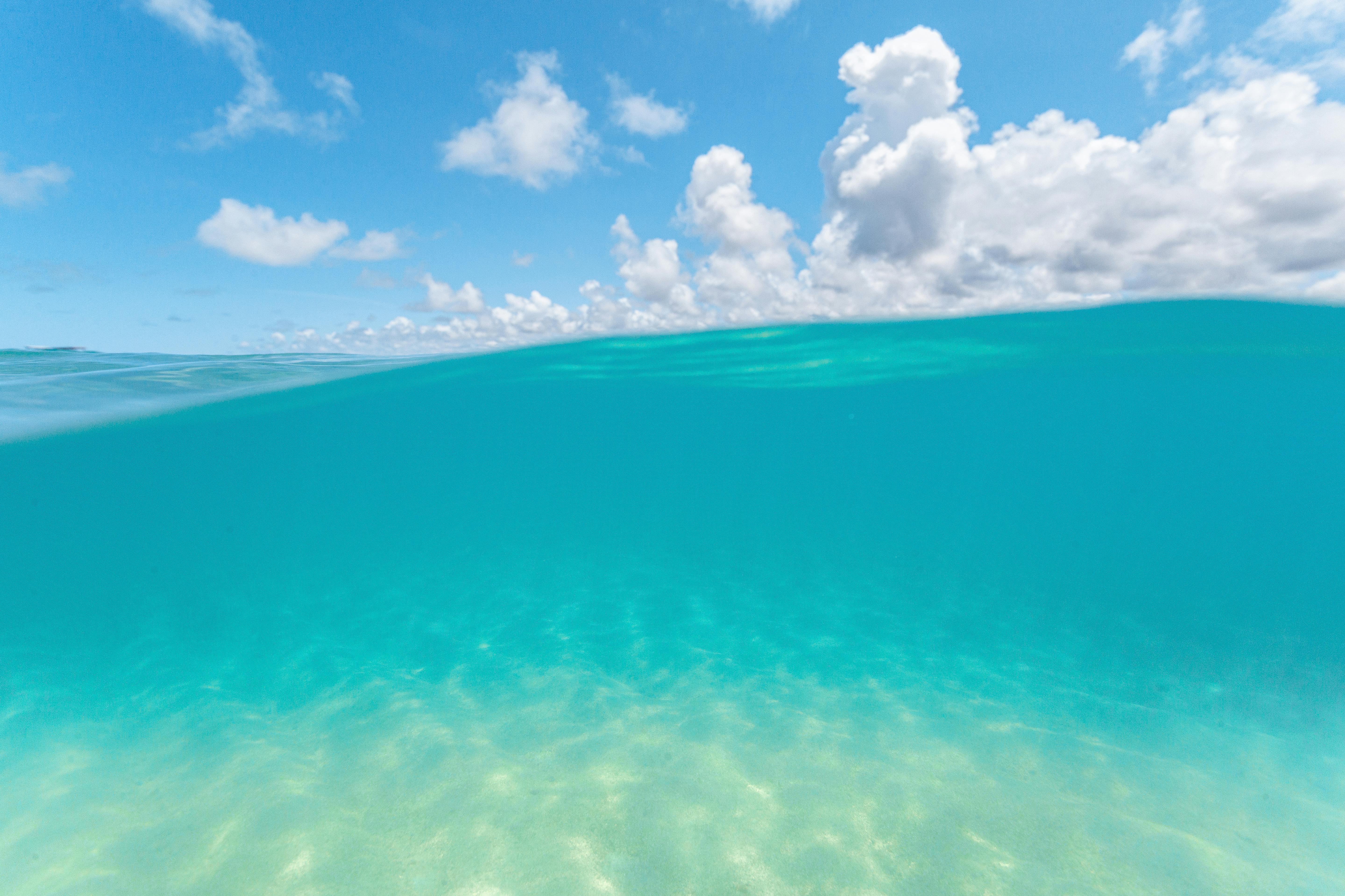 Plataformas y grúas