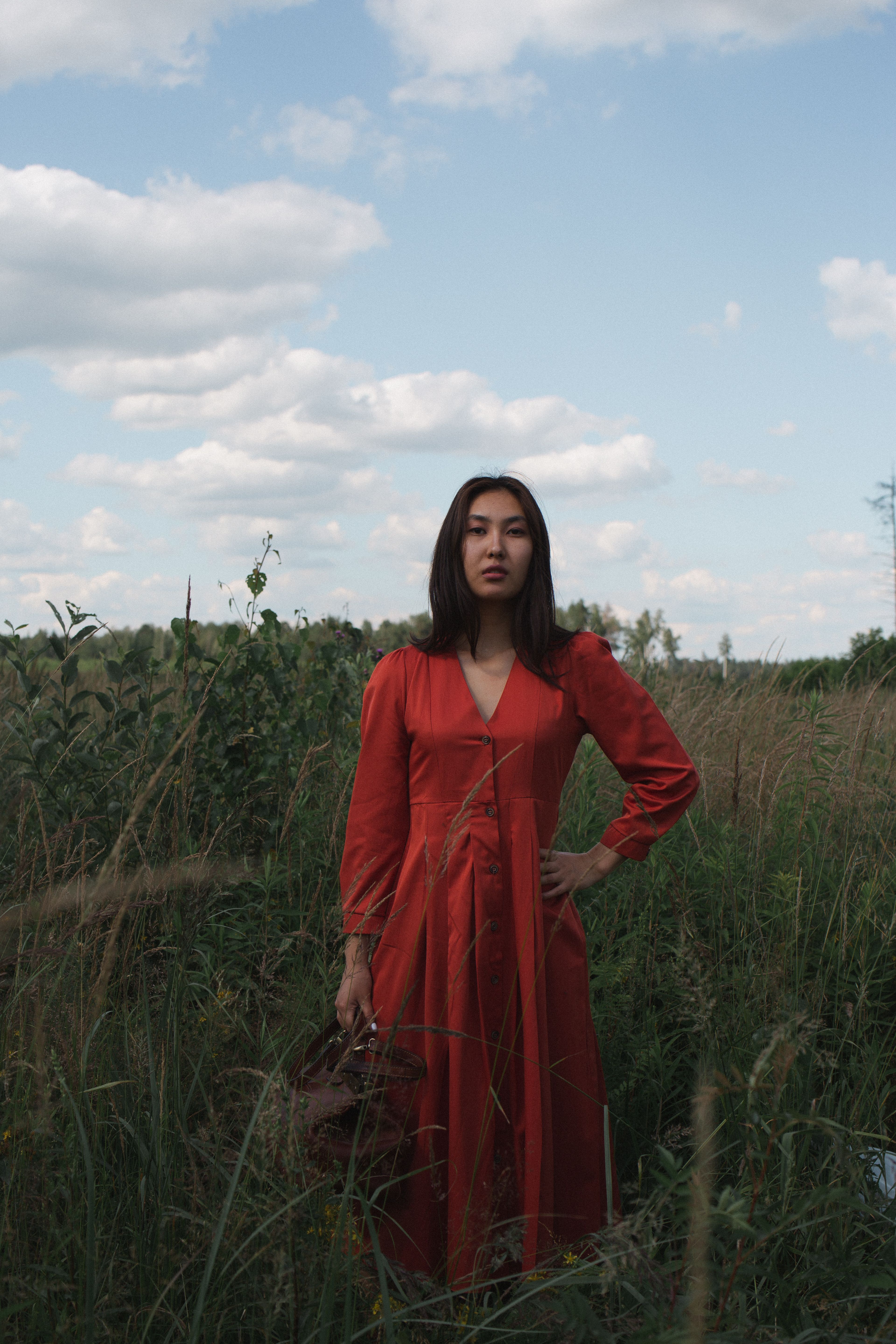 Woman in Red Dress on a Grassy Field · Free Stock Photo