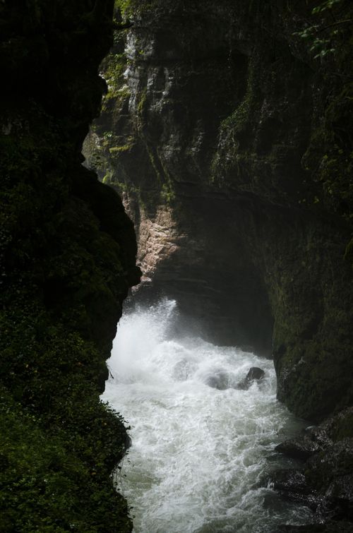 Free Captivating view of a river rushing through a moss-covered canyon, showcasing raw nature. Stock Photo