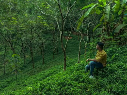 Free Man sitting on a hillside, surrounded by lush forest, enjoying the peaceful natural setting. Stock Photo