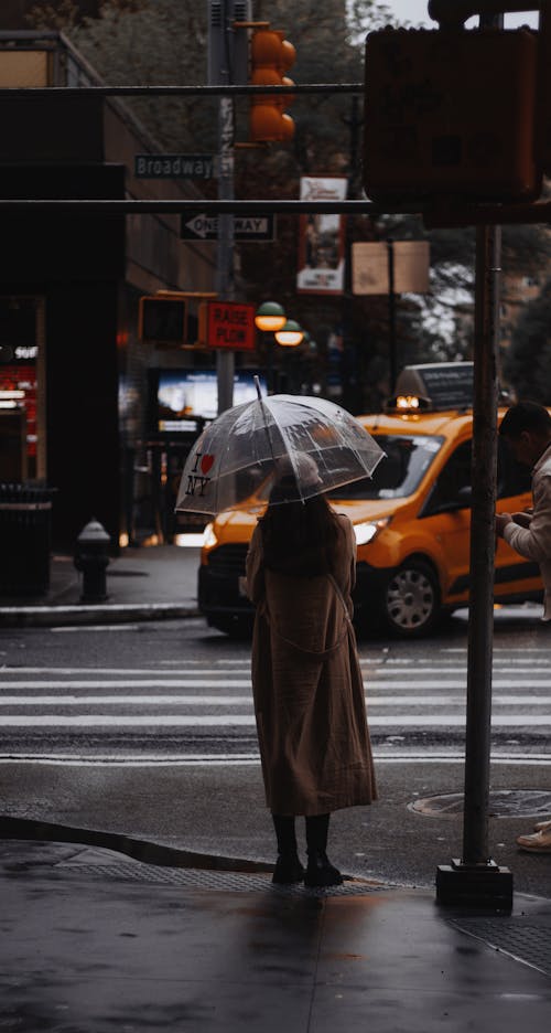 Základová fotografie zdarma na téma deštník, držení, osoba