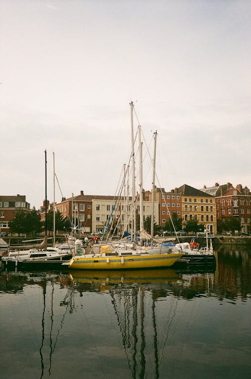 Boats Moored in a Harbor 