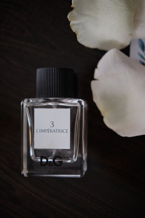 Free Luxurious D&G perfume bottle with delicate white petals in a dark, elegant setting. Stock Photo