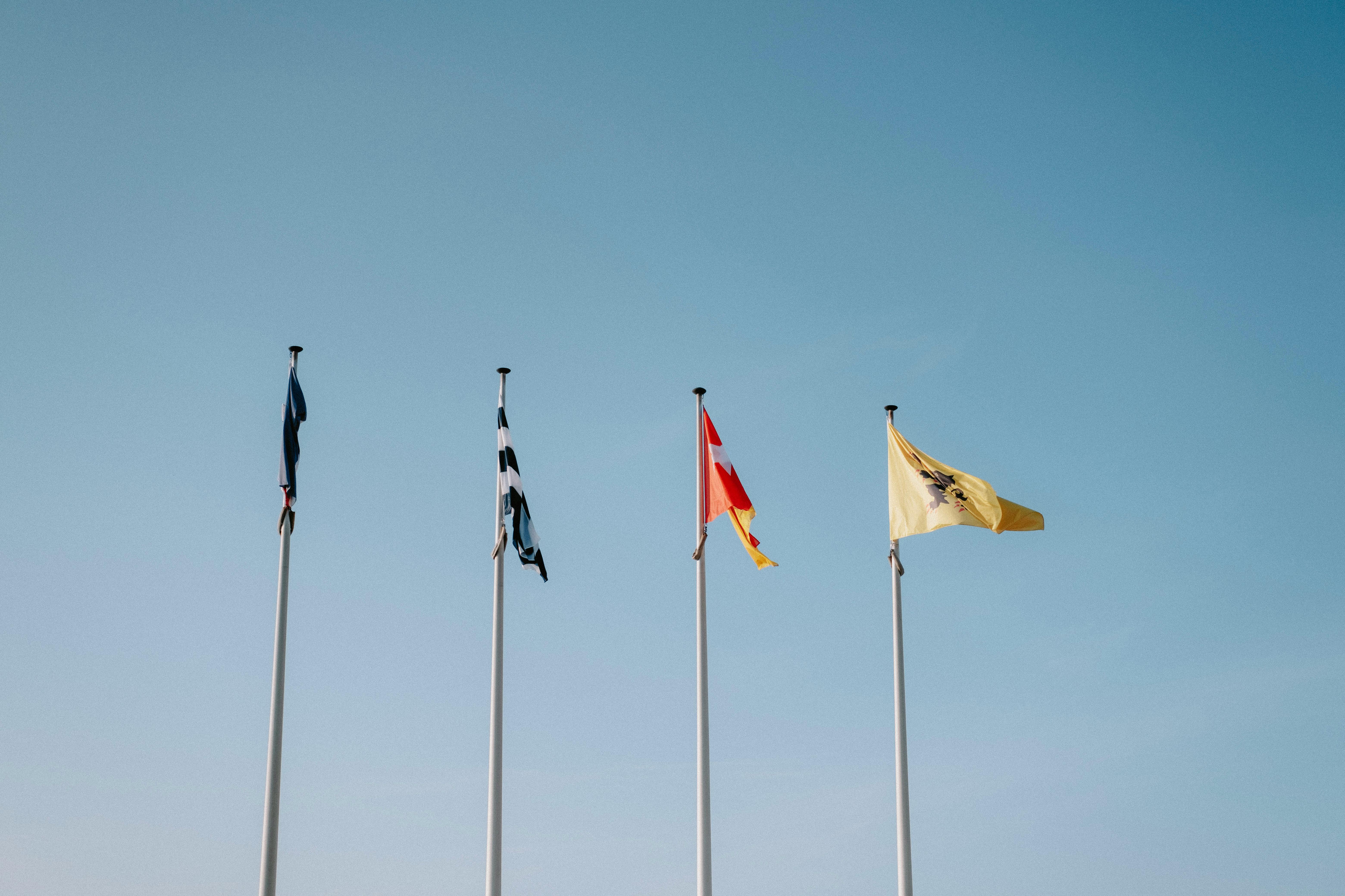 How psychologists can spot red flags in mental health apps — Photo by Mathias Reding on Pexels