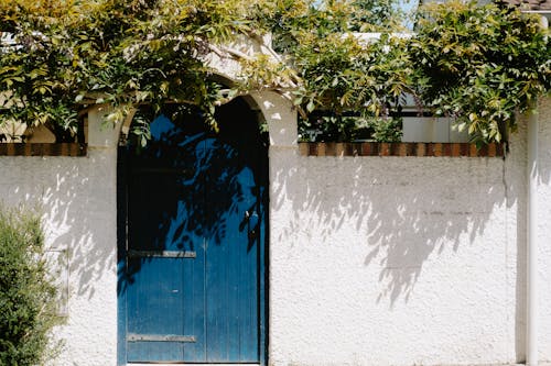 Kostnadsfri bild av anläggning, blå dörr, dörröppning