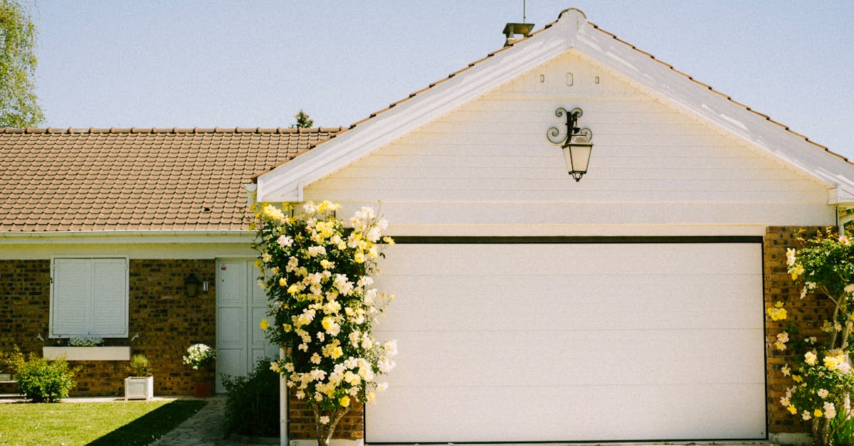 How to grade a lawn for drainage