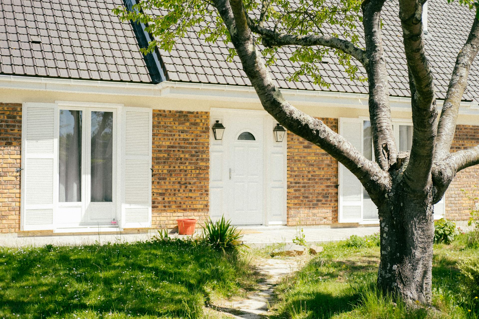 Sunny exterior view of a brick house with a tree and a lush garden pathway.