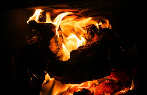 Close-up Photo Of Bonfire